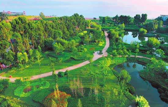 5b4e962464006.jpg timg.jpg